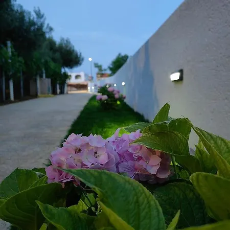 Black Diamond * Razanac