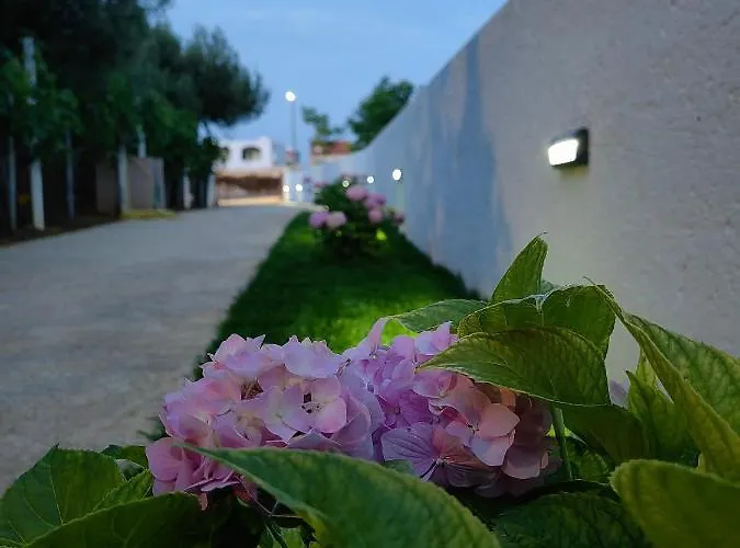 Black Diamond * Ražanac